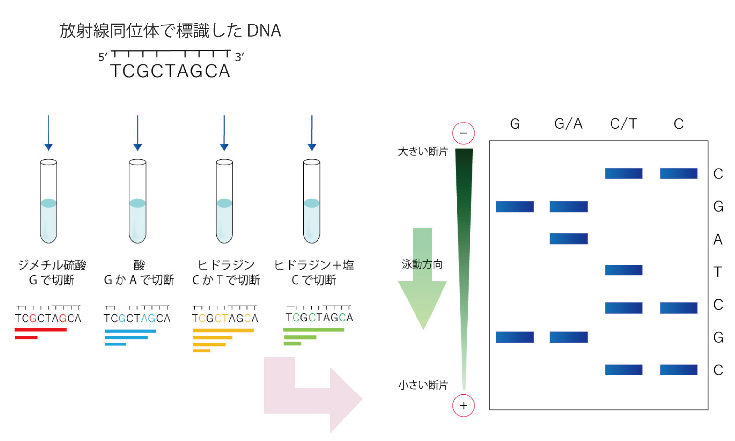 反応産物