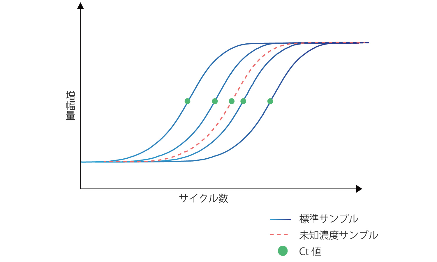 qPCR測定