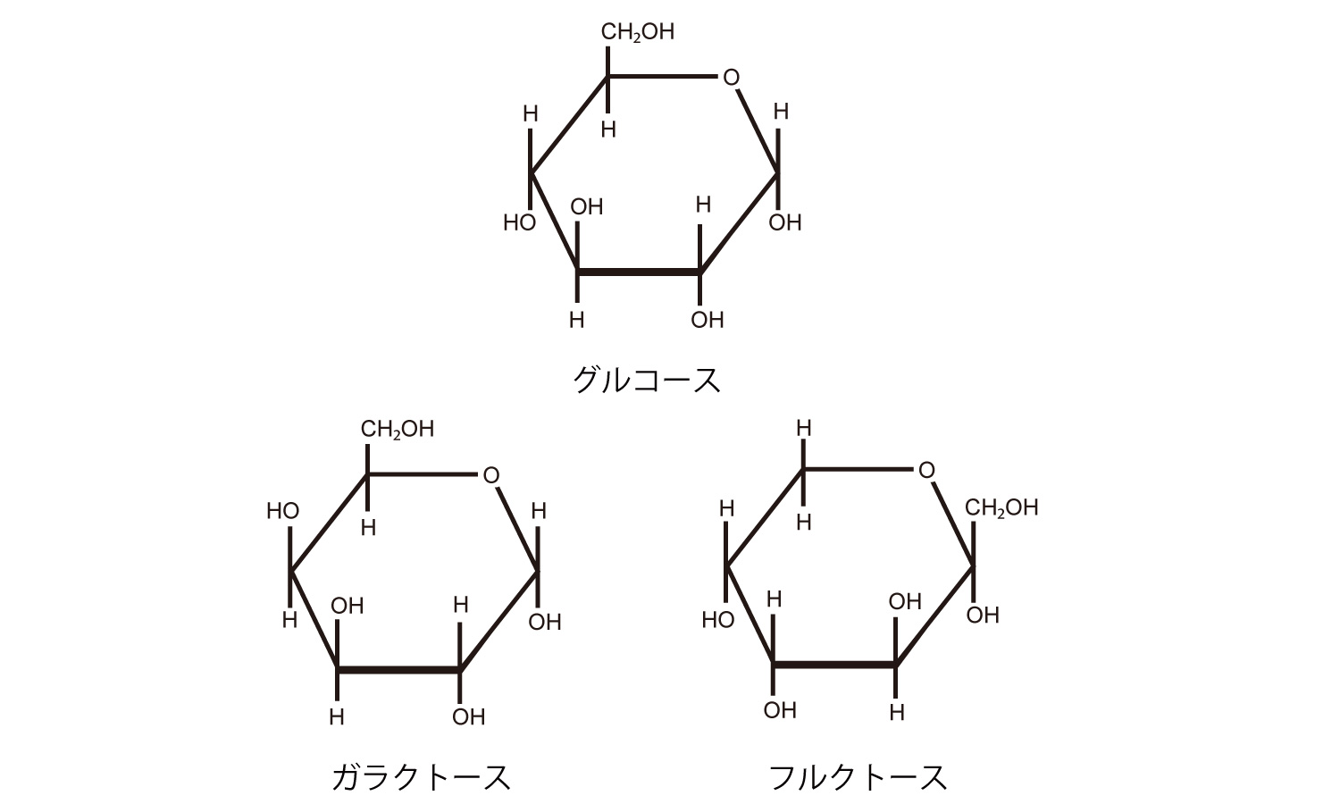 DNAの構成