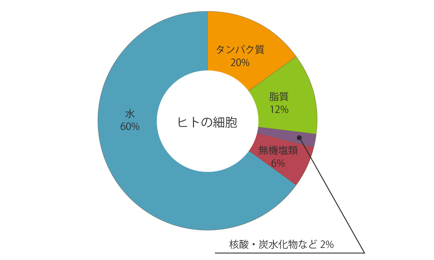 人の細胞の構成