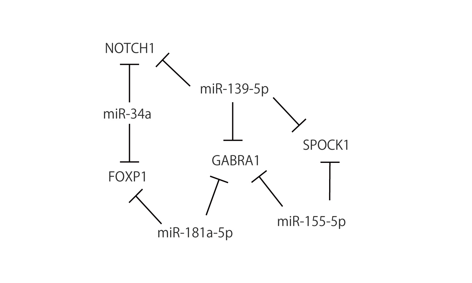 GABRA1遺伝子